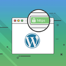 SSL beállítás + teljes ügyintézés