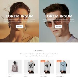 Bolt – Weboldal terv Divi-hez