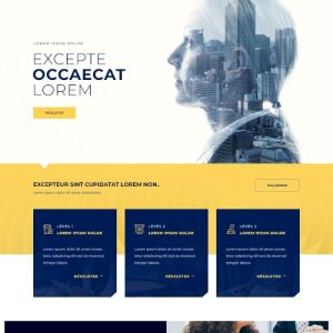 Cég #10 – Weboldal terv Divi-hez