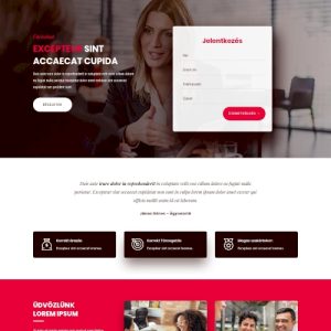 Cég #13 – Weboldal terv Divi-hez