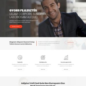 Cég #16 – Weboldal terv Divi-hez