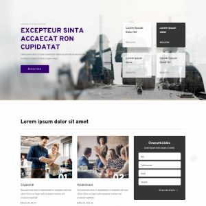 Cég #5 – Weboldal terv Divi-hez