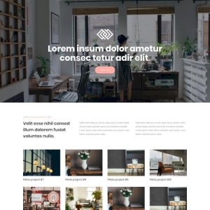 Portfolió #2 – Weboldal terv Divi-hez