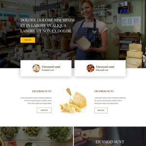 Sajt – Weboldal terv Divi-hez