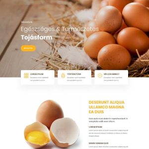 Tojás #farm – Weboldal terv Divi-hez