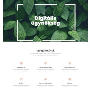 Kreatív ügynökség – Weboldal terv Divi-hez