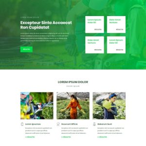 Kertész – Weboldal terv Divi-hez
